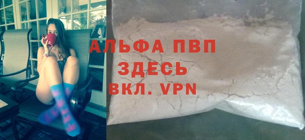 прущие грибы Зерноград