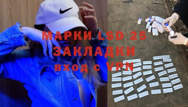 прущие грибы Зерноград