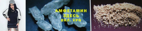 прущие грибы Зерноград