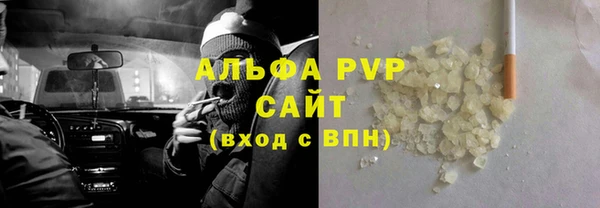 прущие грибы Зерноград