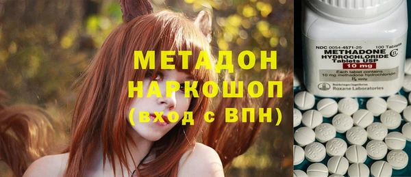 прущие грибы Зерноград