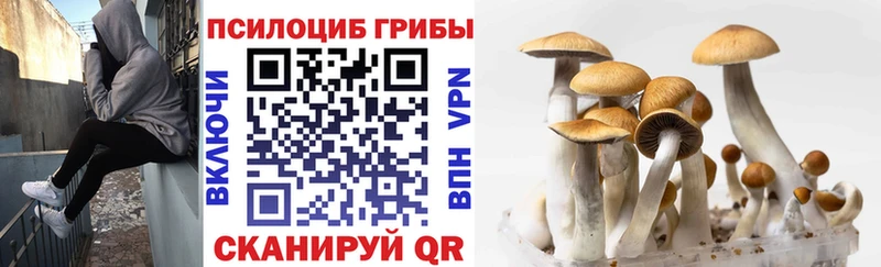 Псилоцибиновые грибы Magic Shrooms  Купить закладки  Алексеевка 