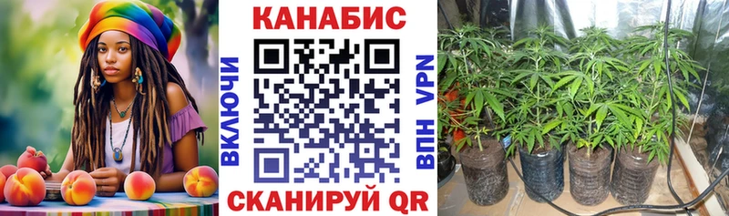 Конопля индика  Купить закладки  Алексеевка 